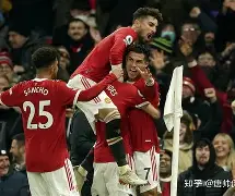 ayx爱游戏电竞-英超曼联队员名单